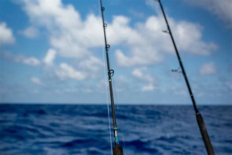 A Guide To Deep Sea Fishing