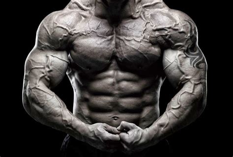 A Guide To Utilize Steroids To Have Desired Results In Safer And Effective Ways