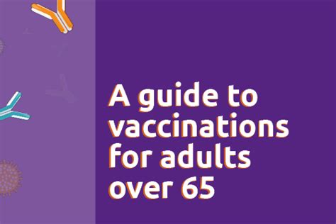 A Guide To Vaccinations For Adults Over 65 British Society For Immunology