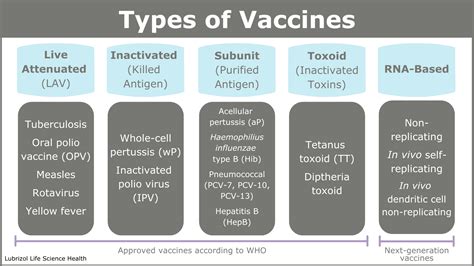 A Guide To Vaccine Development Immunization Lls Health Cdmo