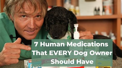 A Man Holding A Dog In His Arms With The Words 7 Human Medicationss That Every Dog Owner Should Have