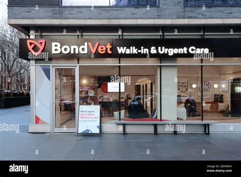 A New Kind Of Vet Clinic Amp Animal Hospital In Nyc Bond Vet