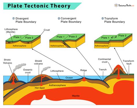 A Shift To Plate Tectonics The Emergence And Evolution Of Plate