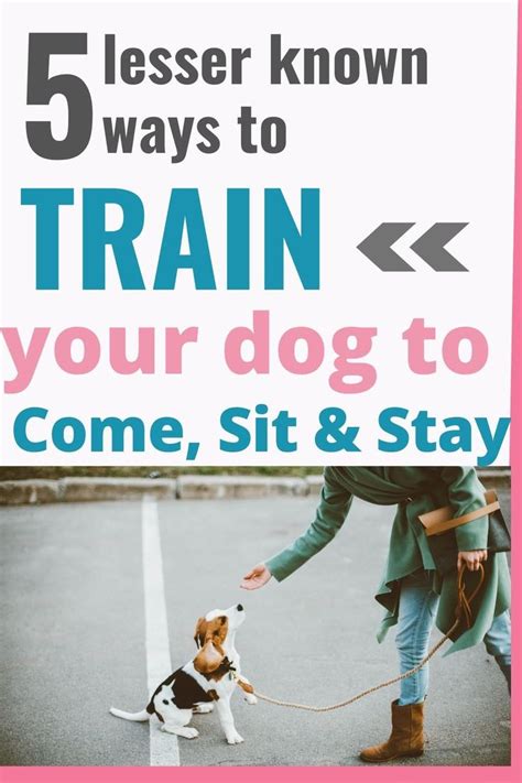 A Woman Walking Her Dog On A Leash With The Text 5 Less Known Ways To