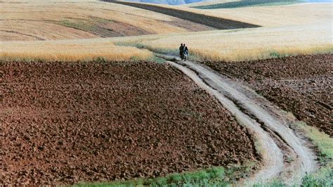 Abbas Kiarostami The Photographer Blind Magazine