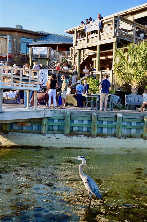 About Boshamps Boshamps Seafood Oyster House