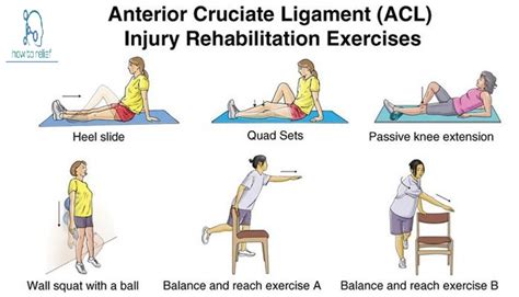 Acl Anatomy Injury Prevention And Rehab Pt In Motion