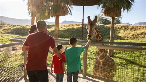 Adventure Awaits Family Friendly Thrills For All Ages