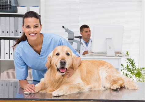 Affordable Animal Hospital Near Me Bloomfield Ca