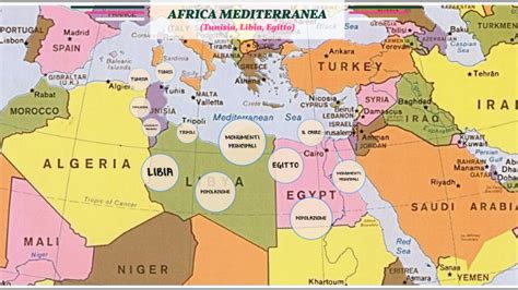 Africa Mediterranea By Beareyciaecosty Catagarsimo On Prezi