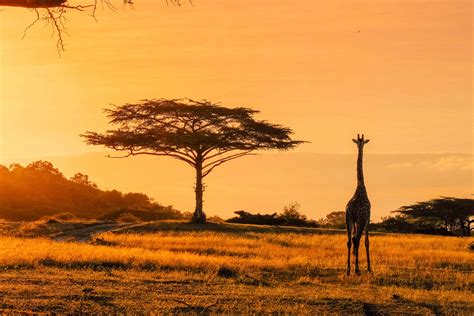 Explore Africa Travel