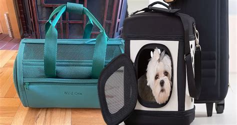 Airline Approved Pet Carriers For Travel Jdv Animals