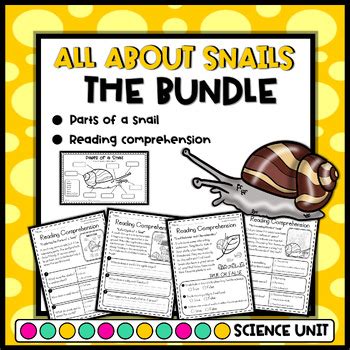 All About Snail Facts Reading Comprehension And Parts Of A Snail