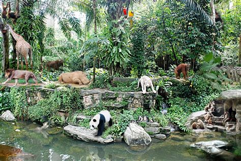 All Animals Together In Jungle By Foochai Ephotozine