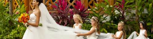 All Inclusive Destination Weddings Specialist Lisa Hoppe Travel