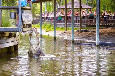 Alligator Adventure Myrtle Beach Attractions Review 10Best Experts And Tourist Reviews