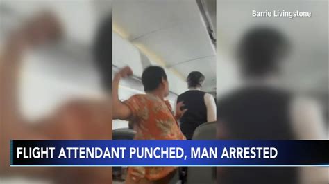 American Airlines Passenger Arrested For Attacking Flight Attendant