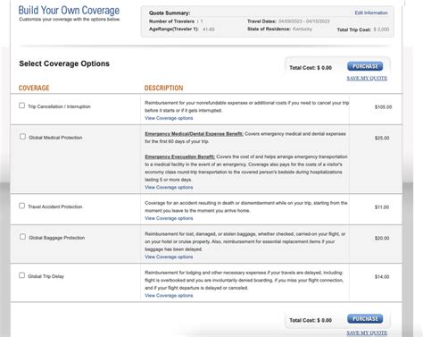 American Express Travel Insurance Coverage Costs And Options