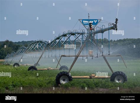 American Farming Traveling Irrigation Sprinklers System In Action