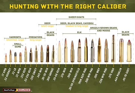 Ammo And Gun Collector Hunting Calibers Chart With Suitable Game Listed