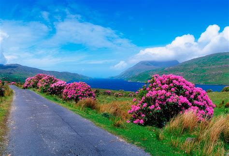 An Expedition Of Some Of The Best Places To Visit In Ireland Kayak