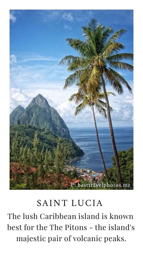 An Island With Palm Trees And The Caption Saint Lucia The Lush