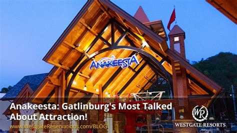 Anakeesta In Gatlinburg Tennessee Was One Of The Best Family Destinations To Visit During Our