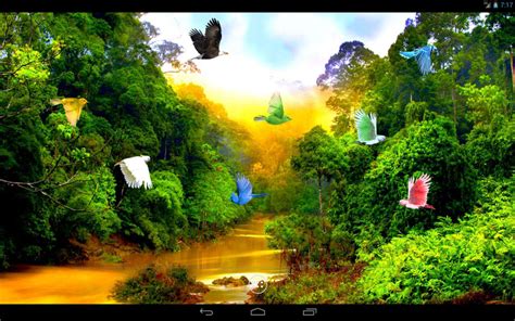 Android I In Forest River Live Wallpaper Apk Ndir