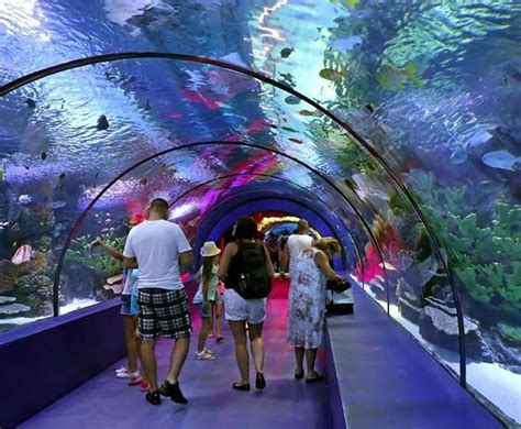 Antalya Aquarium Tour Include Transfer Alanya Side Antalya Travel Buddies