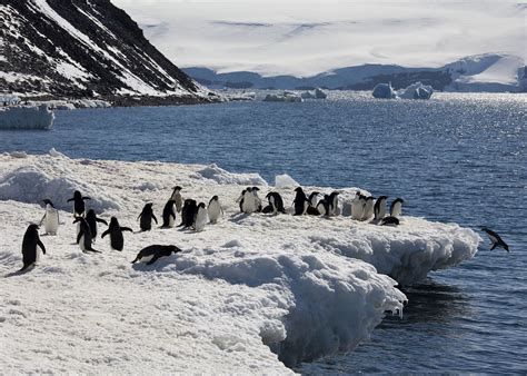 Antarctic Peninsula Cruise Audley Travel Us