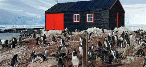 Antarctica Amp 39 S Amp 39 Penguin Post Office Amp 39 Is Hiring For One Of Most Unique Jobs On The Planet Fox Weather