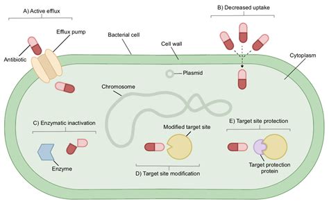 Antibiotics Free Full Text Current And Emerging Treatment Options