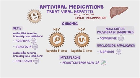 Antivirals For Hepatitis B And C Osmosis Video Library