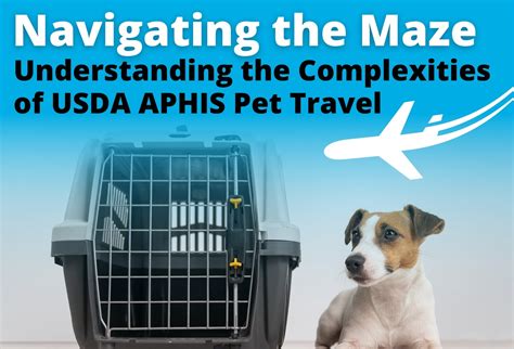 Aphis Pet Travel Requirements