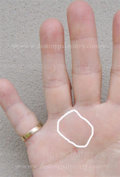 Apollo Mount And Sun Lines Meaning On The Palm Destiny Palmistry Home