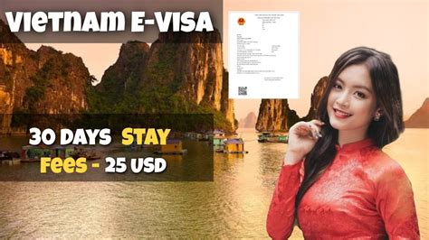 Applying For A Vietnam Visa A Comprehensive Guide Embassy Of Vietnam