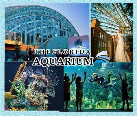 Destin Aquarium Nearby Attractions