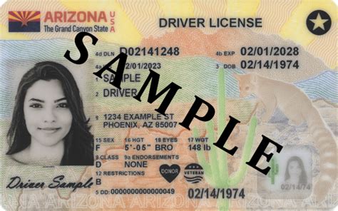 Arizona Driver License And Id Card Gets A Makeover Department Of Transportation