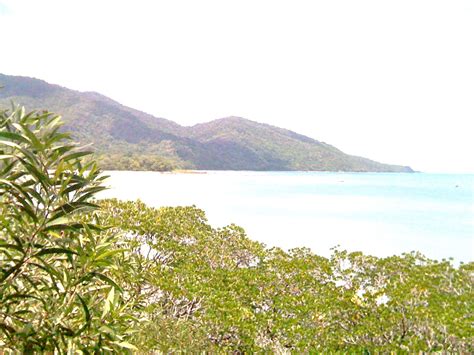 Australia Amp 39 S Daintree Rainforest Meets The Coral See Daintree Rainforest Tourism Travel