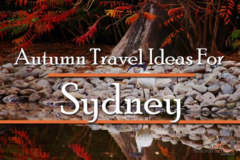 Autumn Travel Ideas For Sydney Transport Network Australia