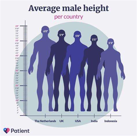 Average Male Height For Men In The Us And The World