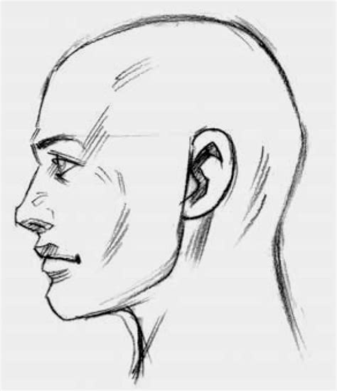 Back Bending Drawing Google Zoeken Profile Drawing Human Face Drawing Face Profile Drawing