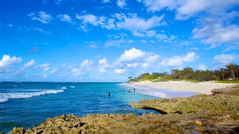 Barbados Beaches Silver Sands Beach