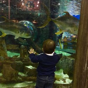 Bass Pro Shops Aquarium Fun 4 Emerald Coast Kids