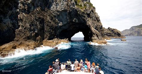 Bay Of Islands Full Day Tour With Hole In The Rock Dolphin Cruise Klook United States