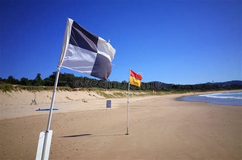 Beach Flags On Australian Beach Stock Photo Image Of Protect Holiday