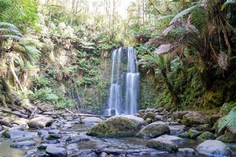 Beauchamp Falls A Stunning Great Otways National Park Walk