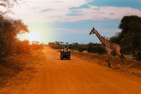 Beginners Guide To Kenya Best Luxury Places To Visit In Kenya