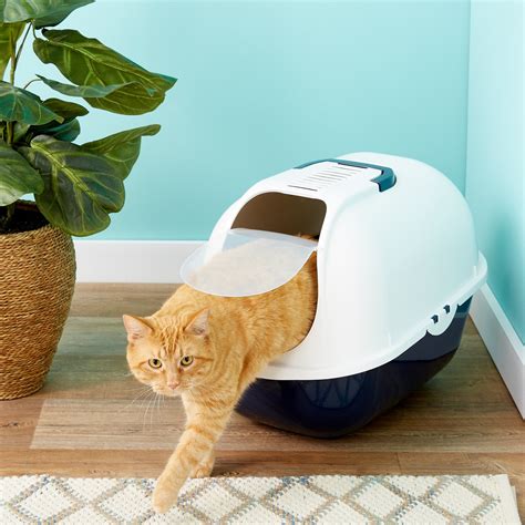 Best 6 Covered Litter Box For Large Cats Reviews Buying Guides