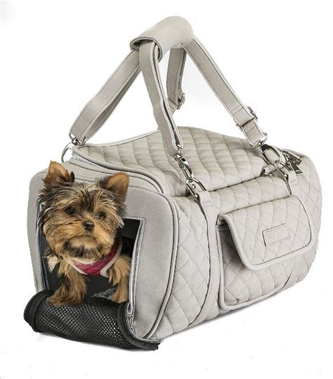 Best Designer Dog Carriers Reviews And Buying Guide 2022